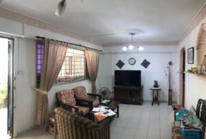 236 bukit panjang ring road